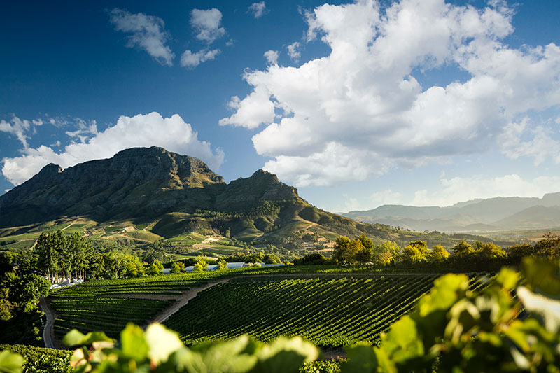 Cape Privé Winelands Collection