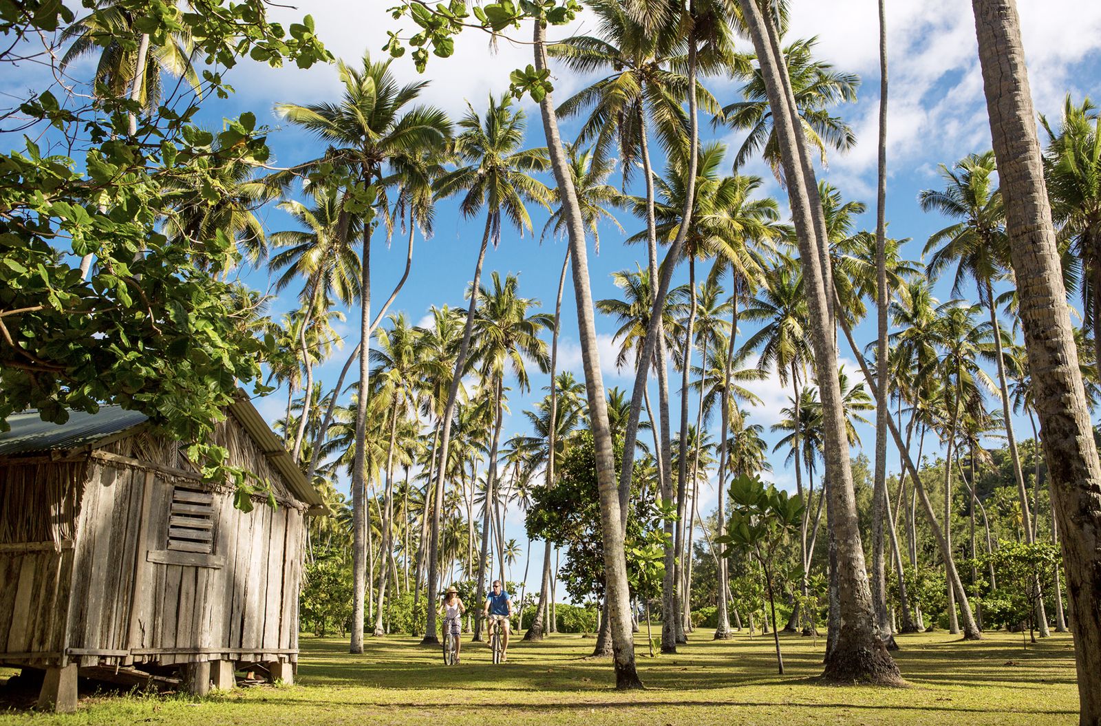North Island — photograph 22