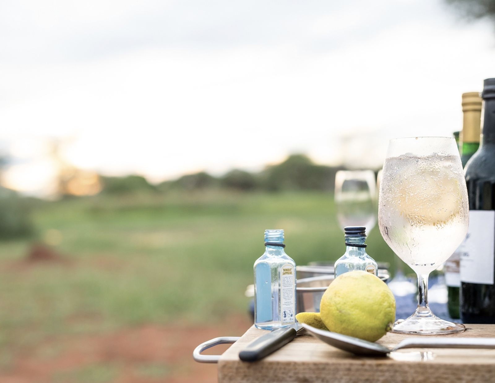 Singita Malilangwe House — photograph 13